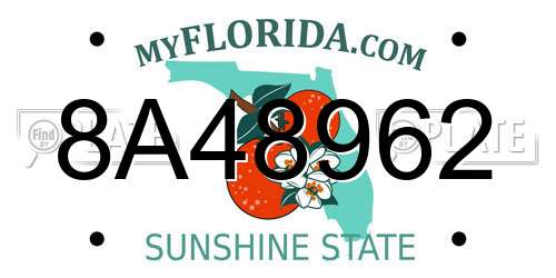 8A48962 Florida License Plate