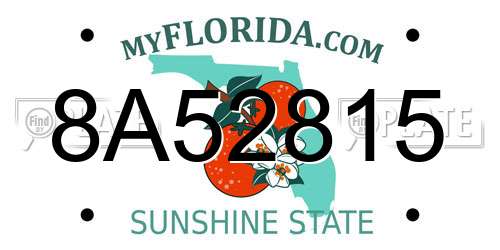 8A52815 Florida License Plate