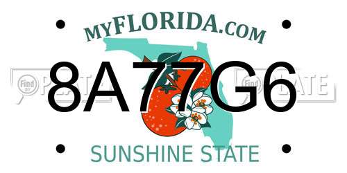 8A77G6 Florida License Plate