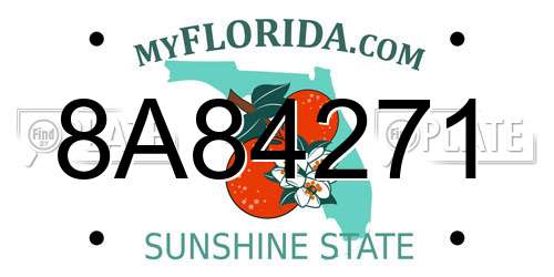 8A84271 Florida License Plate