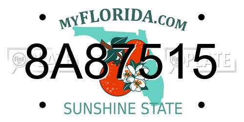 8A87515 Florida License Plate