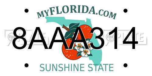 8AAA314 Florida License Plate