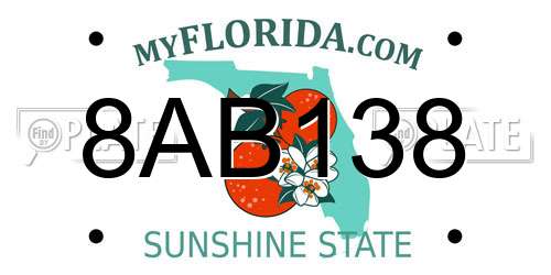 8AB138 Florida License Plate