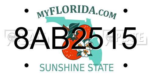 8AB2515 Florida License Plate