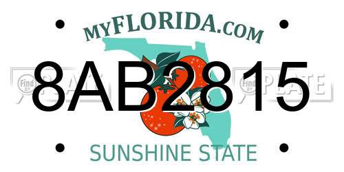 8AB2815 Florida License Plate