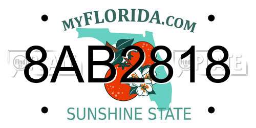 8AB2818 Florida License Plate