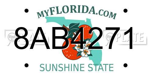 8AB4271 Florida License Plate