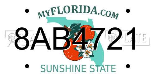 8AB4721 Florida License Plate