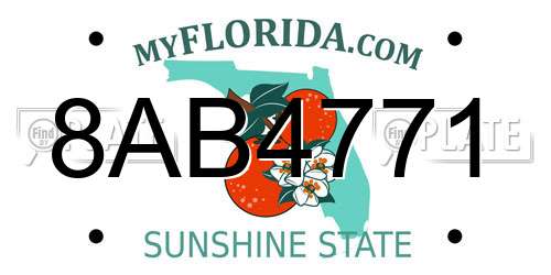 8AB4771 Florida License Plate