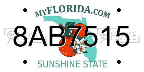 8AB7515 Florida License Plate