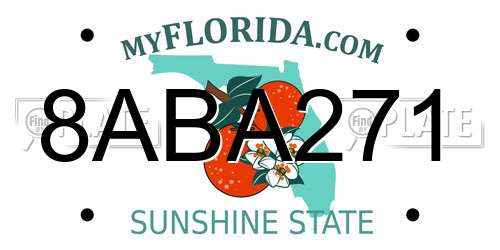 8ABA271 Florida License Plate