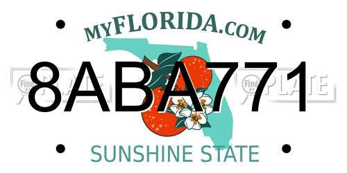 8ABA771 Florida License Plate