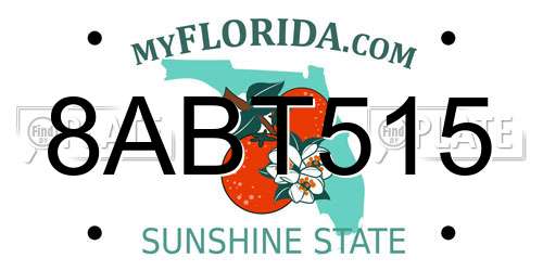 8ABT515 Florida License Plate
