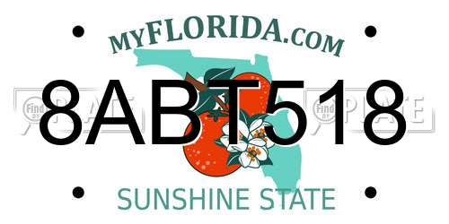 8ABT518 Florida License Plate