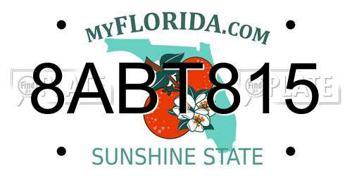 8ABT815 Florida License Plate