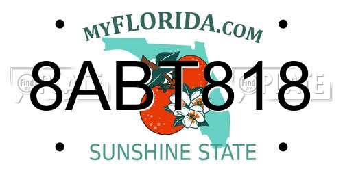 8ABT818 Florida License Plate