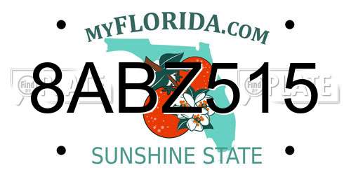 8ABZ515 Florida License Plate