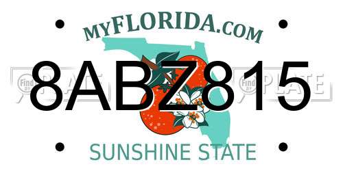 8ABZ815 Florida License Plate