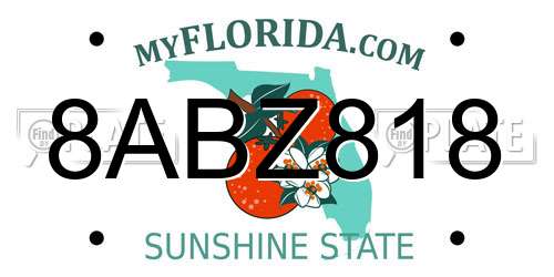 8ABZ818 Florida License Plate