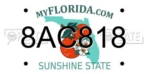 8AC818 Florida License Plate