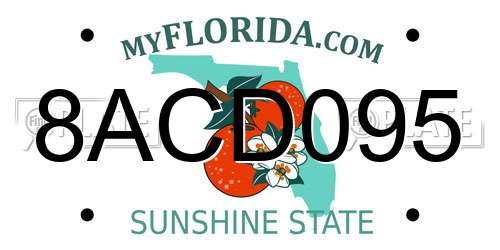 8ACD095 Florida License Plate
