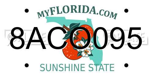 8ACO095 Florida License Plate