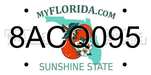 8ACQ095 Florida License Plate