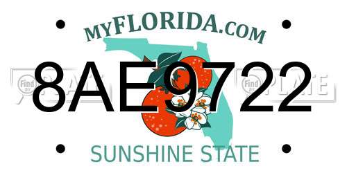 8AE9722 Florida License Plate