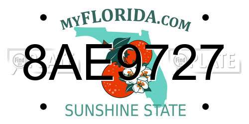 8AE9727 Florida License Plate