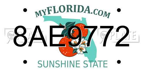 8AE9772 Florida License Plate