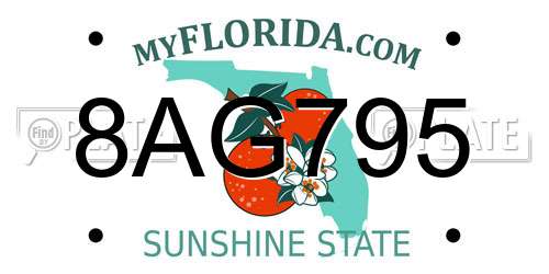8AG795 Florida License Plate