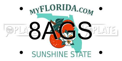 8AGS Florida License Plate