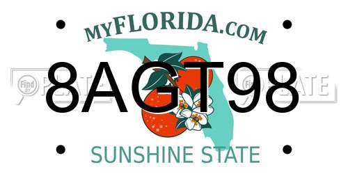8AGT98 Florida License Plate