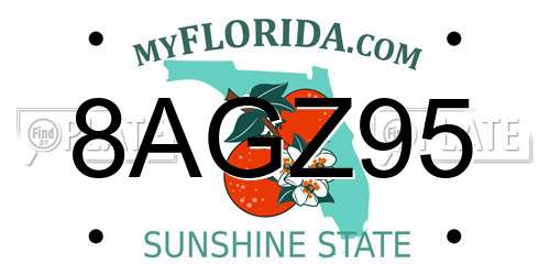 8AGZ95 Florida License Plate