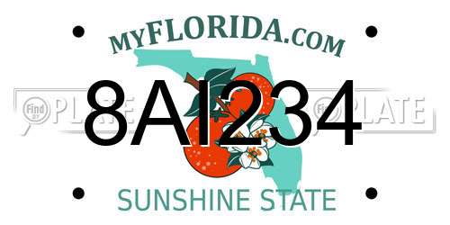 8AI234 Florida License Plate