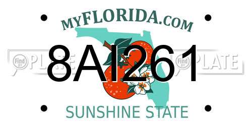 8AI261 Florida License Plate