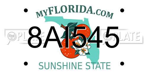 8AI545 Florida License Plate