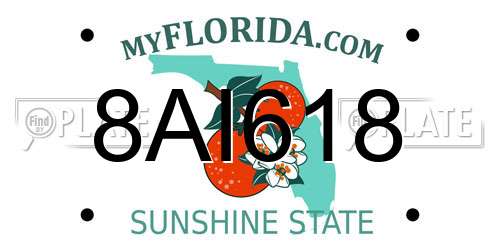 8AI618 Florida License Plate