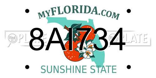 8AI734 Florida License Plate