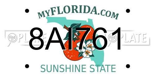 8AI761 Florida License Plate