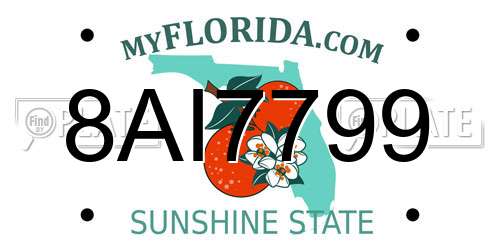 8AI7799 Florida License Plate