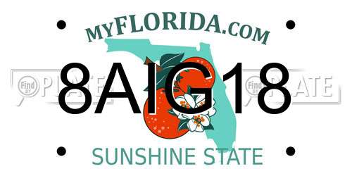 8AIG18 Florida License Plate
