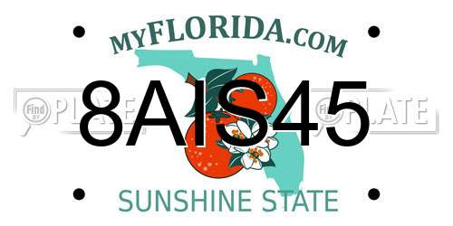 8AIS45 Florida License Plate