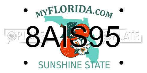 8AIS95 Florida License Plate