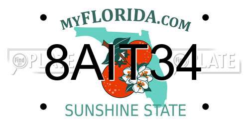 8AIT34 Florida License Plate
