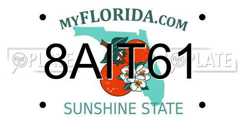 8AIT61 Florida License Plate