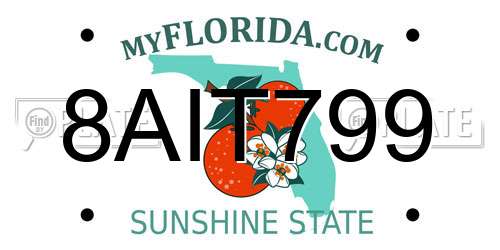 8AIT799 Florida License Plate