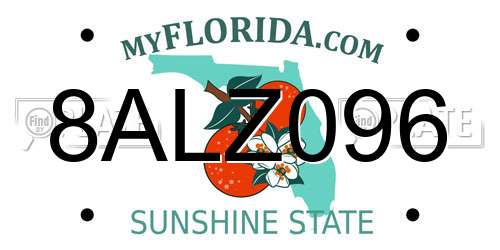 8ALZ096 Florida License Plate