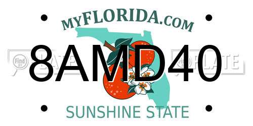 8AMD40 Florida License Plate