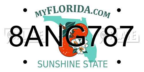 8ANG787 Florida License Plate